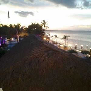 Meet your Posher, Bryan